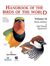 HANDBOOK OF THE BIRDS OF THE WORLD VOL14 - 9788496553507